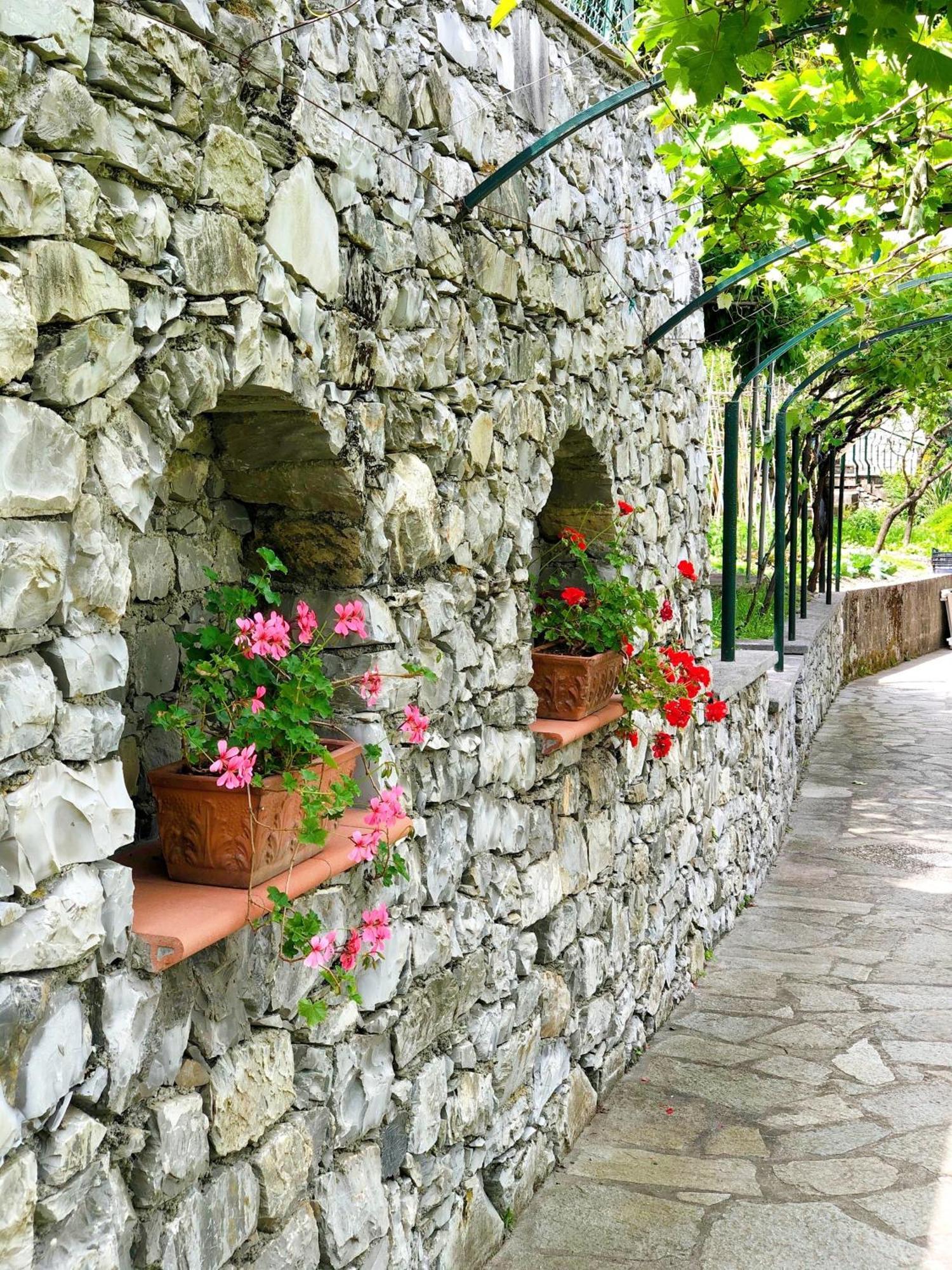 Hotel Villa Edera & La Torretta 모네글리아 외부 사진